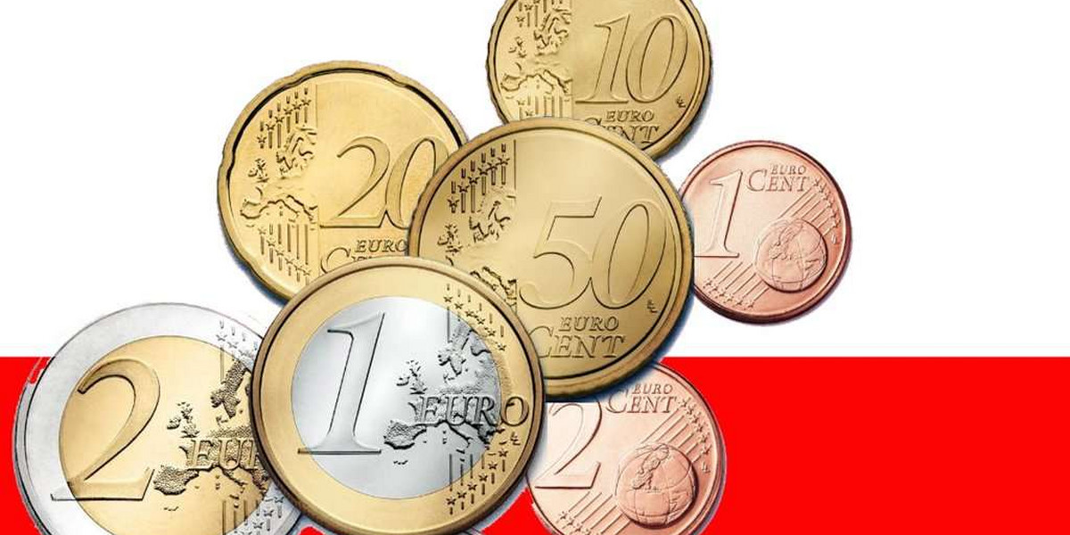 Rząd: Euro nie tak szybko