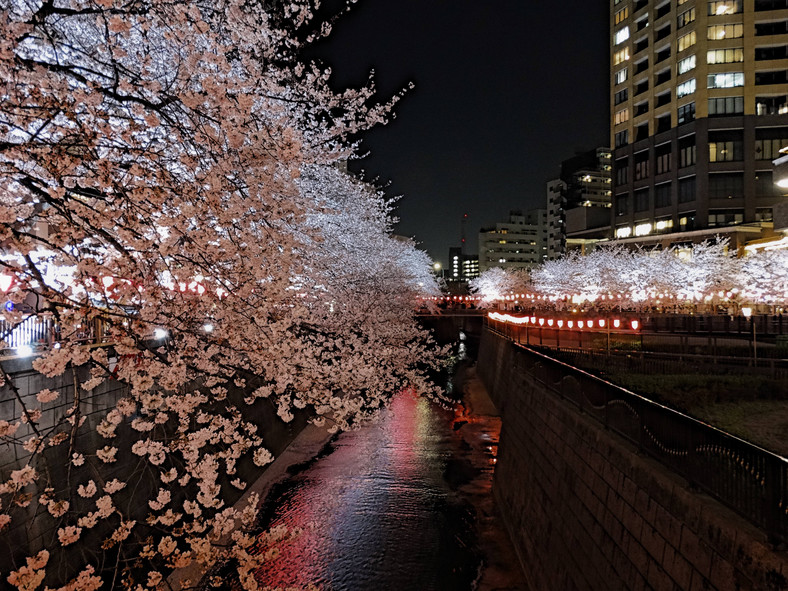 Japonia to kraj kontrastów