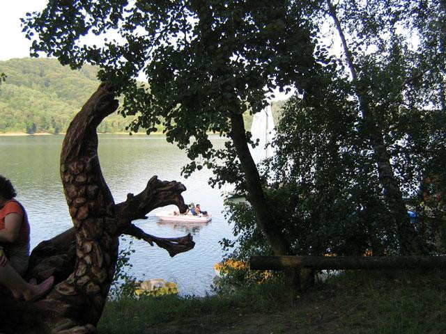 Galeria Polska - Bieszczady, obrazek 11