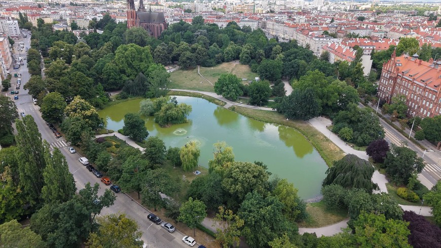 Park Tołpy to piękne zielone założenie w centrum Śródmieścia