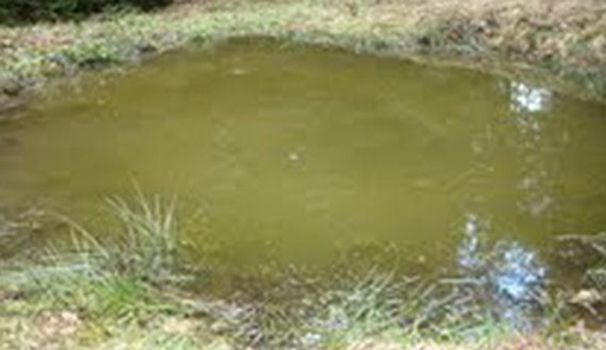 Jajolike lokve na brdu kod Čajniča