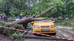 Fákat csavart ki a pusztító vihar: egy autót totál összetört a rázuhanó törzs a XIV. kerületben – fotók