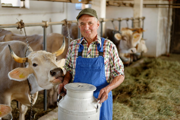 W ubiegłym sezonie wyprodukowano w Polsce 10,5 miliarda kilogramów mleka.