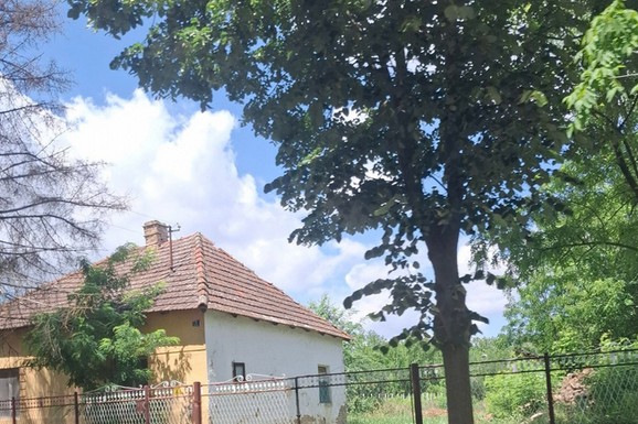 Hit oglas u Vojvodini! Prodaje se kuća sa velikim imanjem za