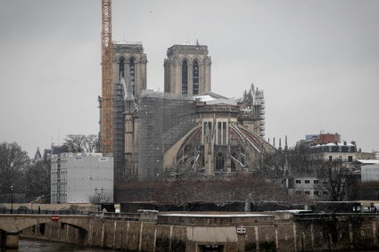 Wytną 200-letnie dęby, aby odbudować katedrę Notre Dame