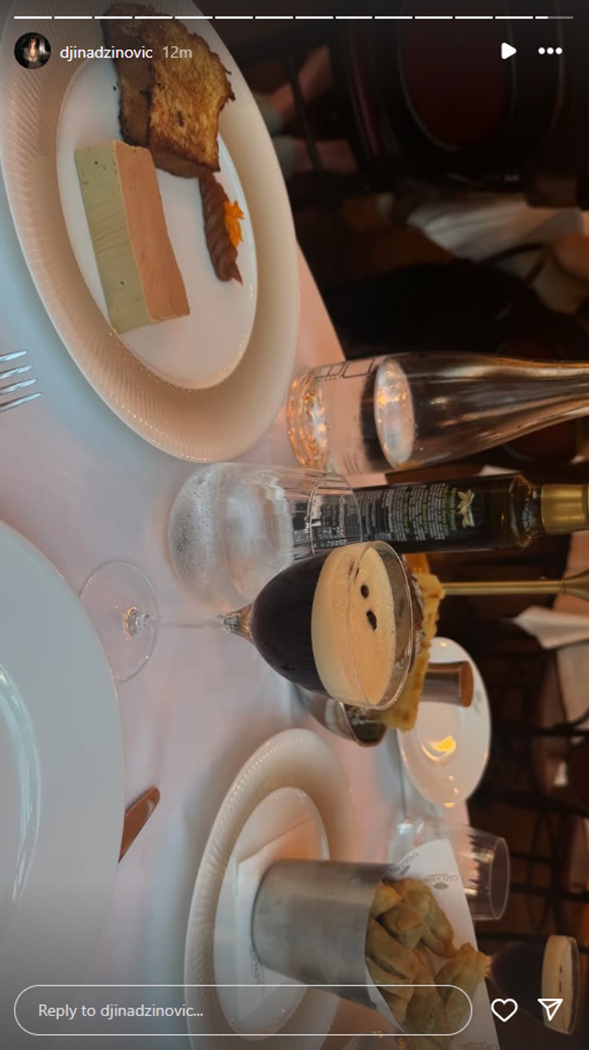 Đina Džinović, objava