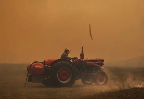 Złodzieje ukradli 300 tys. litrów wody. To nie Mad Max, a świat w trakcie kryzysu klimatycznego