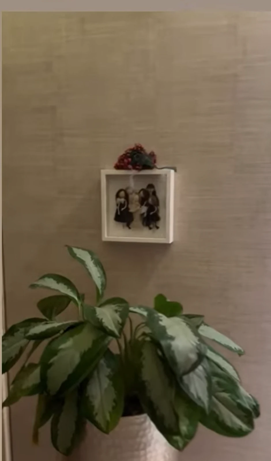 Stan iz kojeg iseljavaju Čedu Jovanovića i Acu Kosa