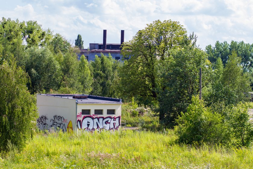 Urzędnicy przeznaczyli blisko pół miliona złotych na nagrody