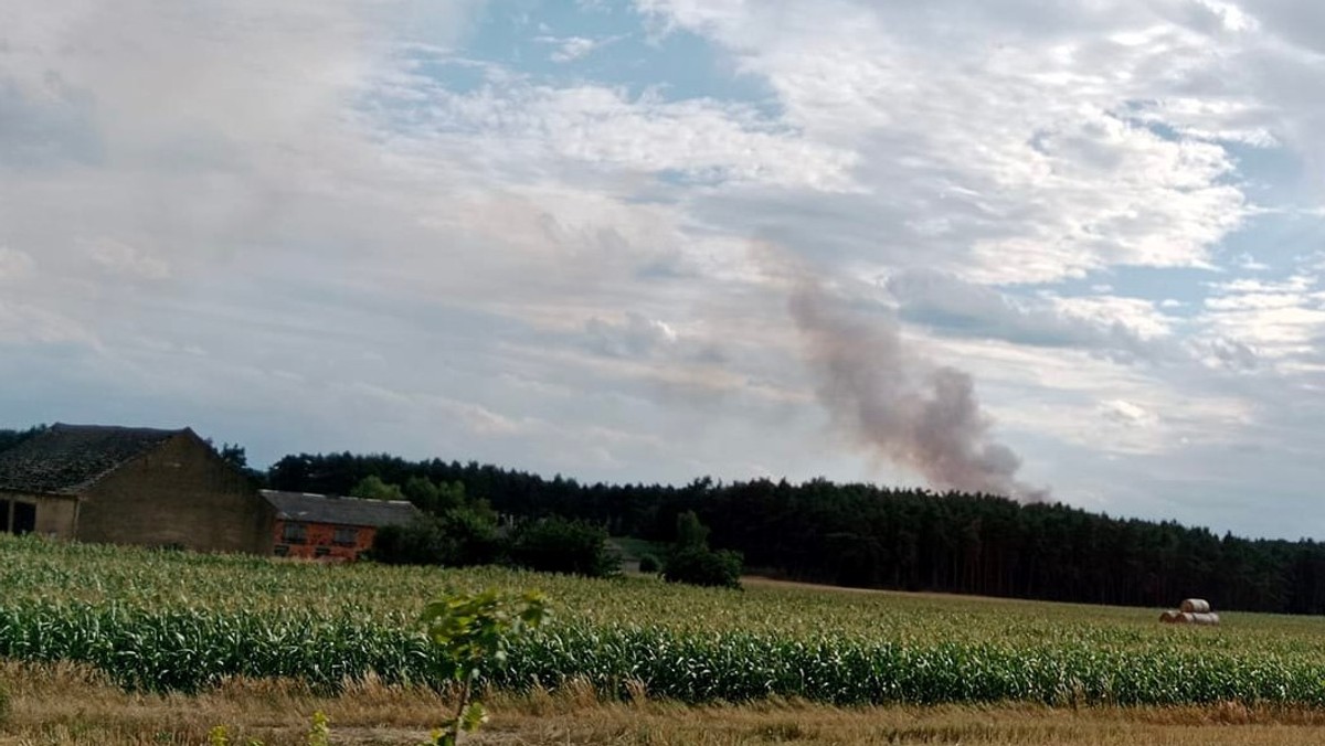 Pożar pieczarkarni w Starej Tuchorzy. Ogień objął pojemnik z paliwem