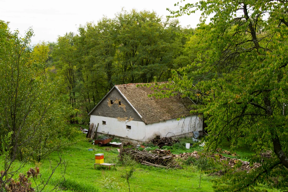 Za 10.000 evra se uz kuću mogu kupiti i plac, voćnjak ili pomoćni objekti 