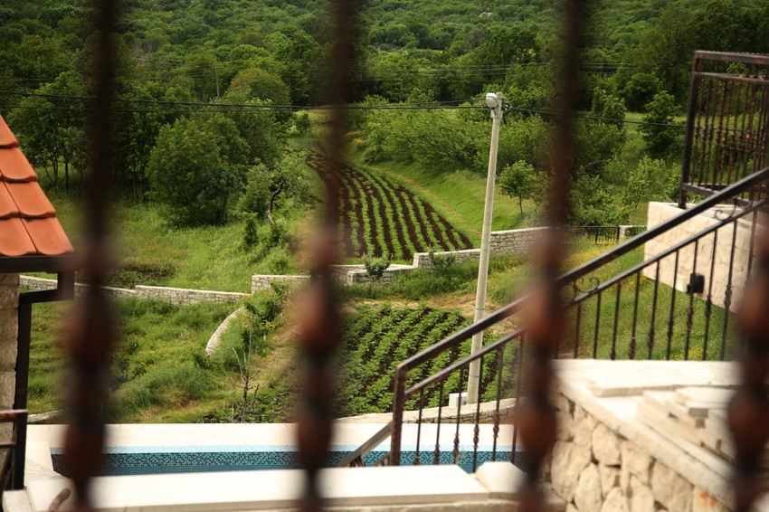 Imanje Luke Petrovića kod Trebinja