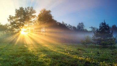 Nawet 17 st. C! Mamy wiosnę? Synoptycy nie mają złudzeń