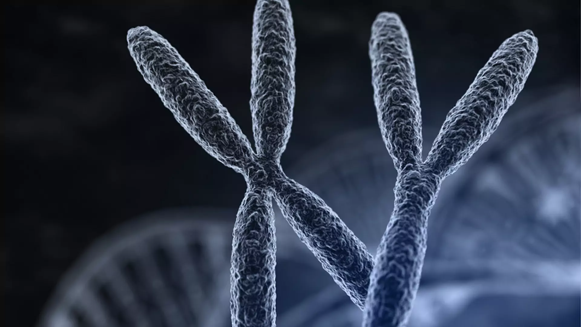 Kariotyp - badanie chromosomów: na czym polega, wskazania do badania