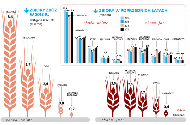 Dobry rok będą mieli szczególnie plantatorzy gruszek i śliwek