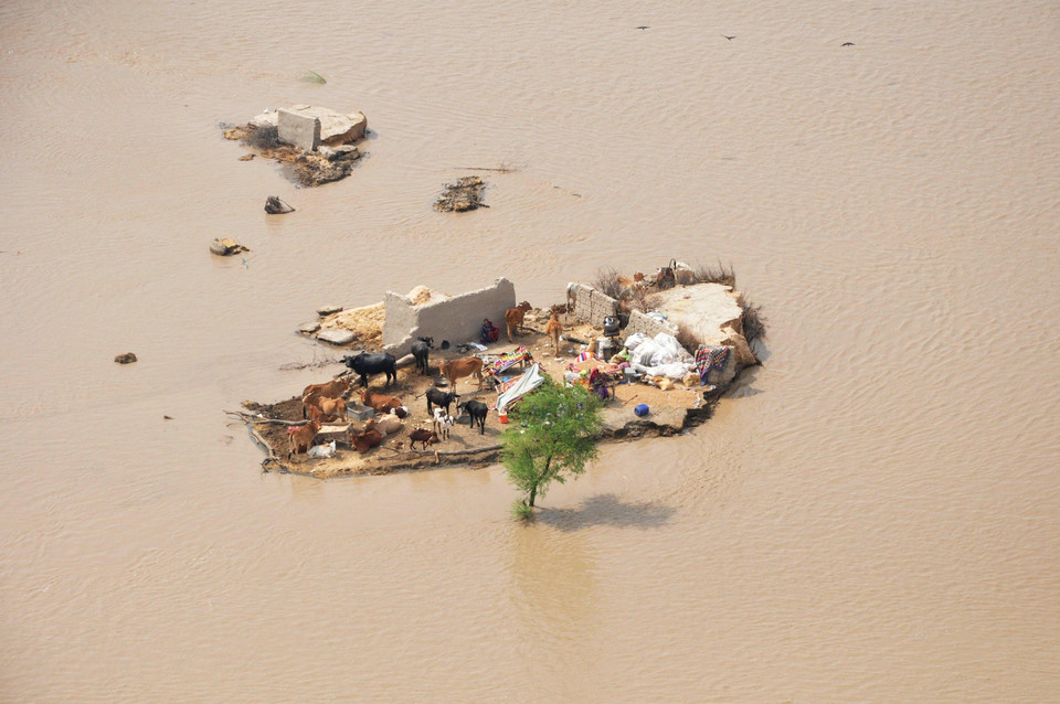 2010-08-10T044338Z_01_AAL105_RTRIDSP_3_PAKISTAN-FLOODS.jpg