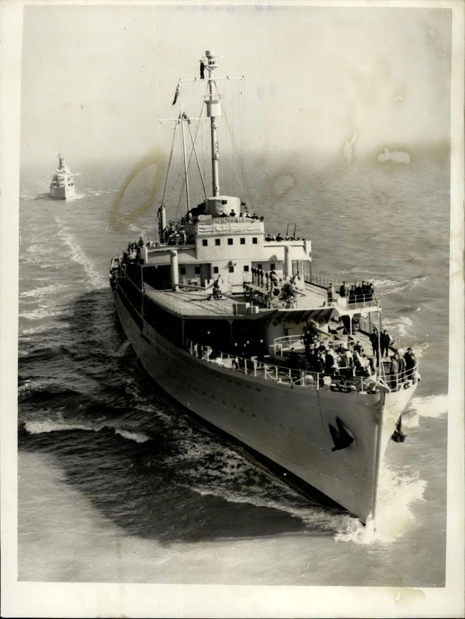 Galeb na otvorenom moru