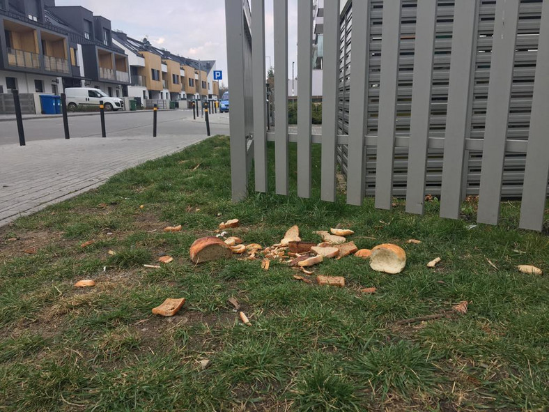 Jedzenie wyrzucone na trawnik na Grabiszynku
