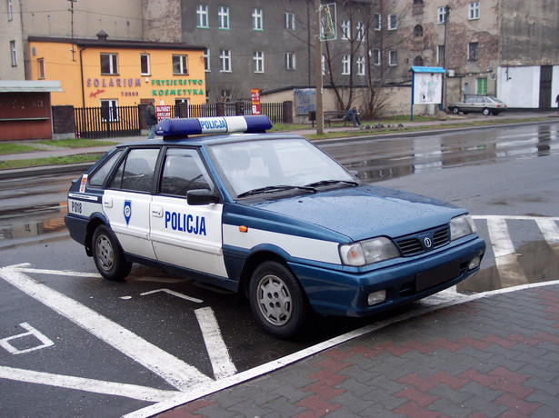 Policja podała, że szczególnie spadła liczba przestępstw kryminalnych - o 8,7 proc. Było mniej zabójstw - o 14 proc.; kradzieży samochodów - o 20,4 proc.; kradzieży z włamaniem - o 14,8 proc.; kradzieży - o 11,8 proc.; rozbojów - o 5,5 proc. i gwałtów - o 19,6 proc.