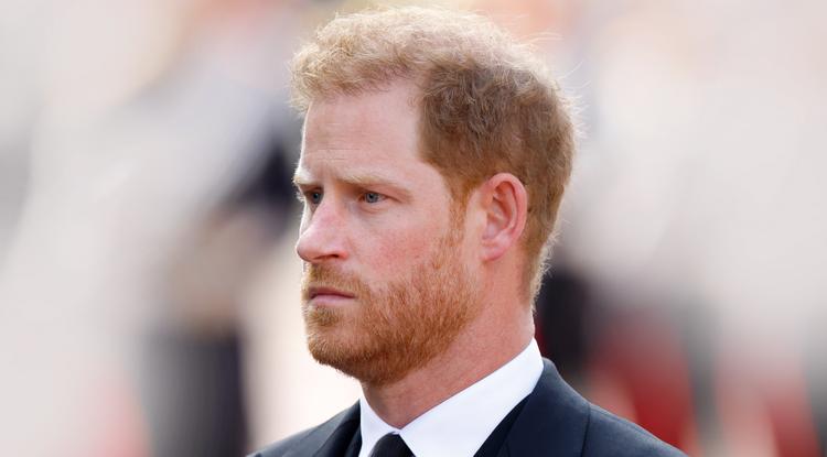 Harry herceg nem akarta Kamilla királynéval egy szobában lenni Fotó: Getty Images