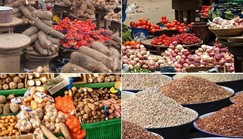 Experts proffer solutions to rising food inflation
