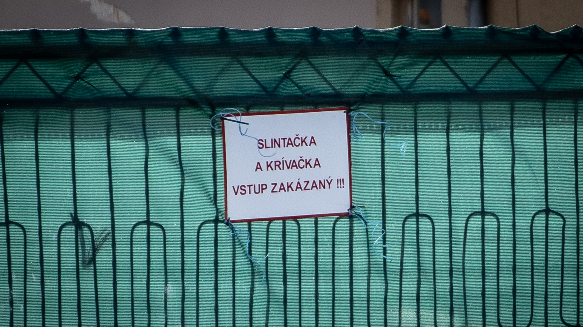 Slintačka a krívačka