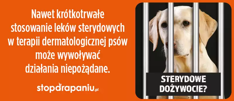 Na czym polega atopowe zapalenie skóry u zwierząt i jak się objawia?