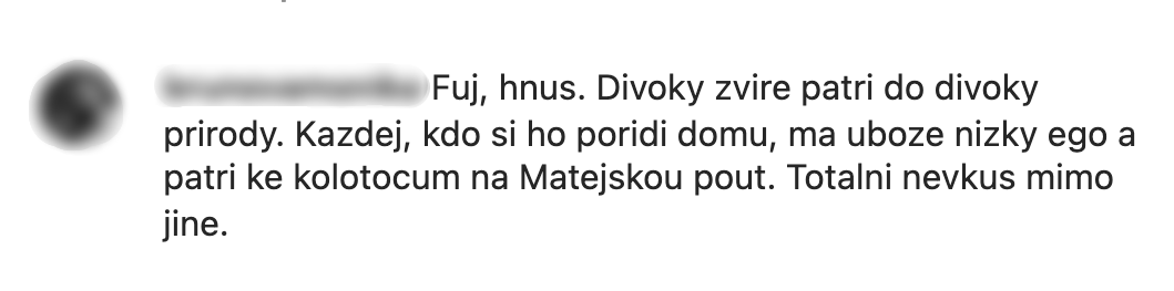 Komentáre pod fotkou Lely s malým levom. 