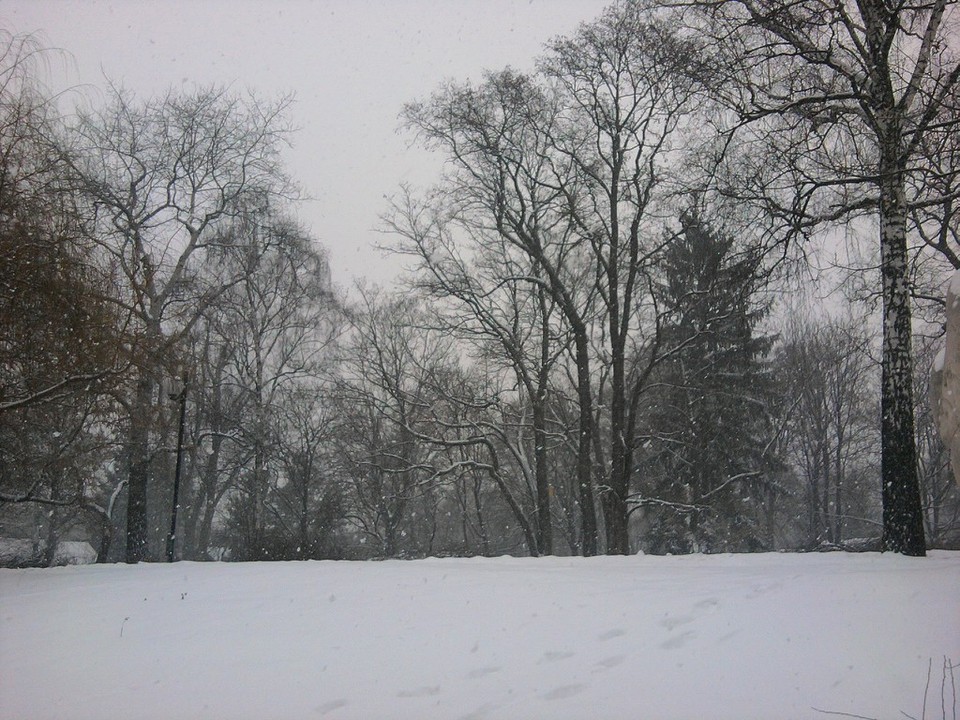 Warszawa, Fot. Daj znać!