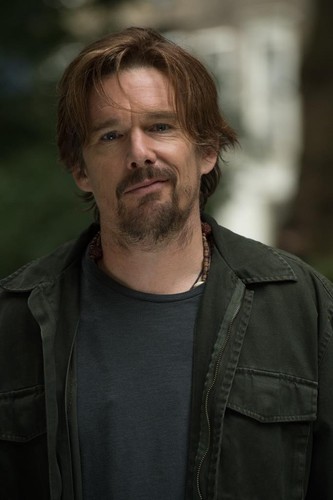 'Też go kocham' - w filmie Ethan Hawke, Rose Byrne i Chris O’Dowd