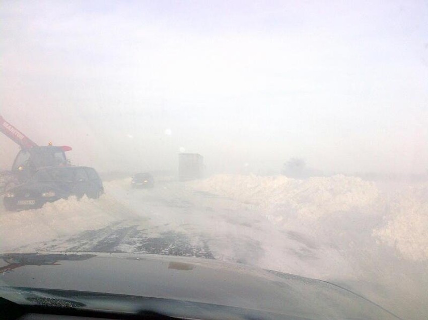 Foto: Aleksandar Antić