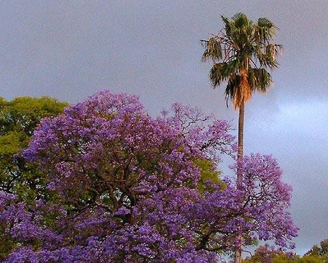 Galeria Argentyna - Listopadowe Buenos Aires, obrazek 90