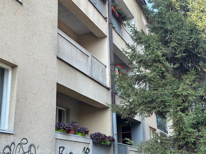 Zgrada u kojoj je živeo Bora Đorđević