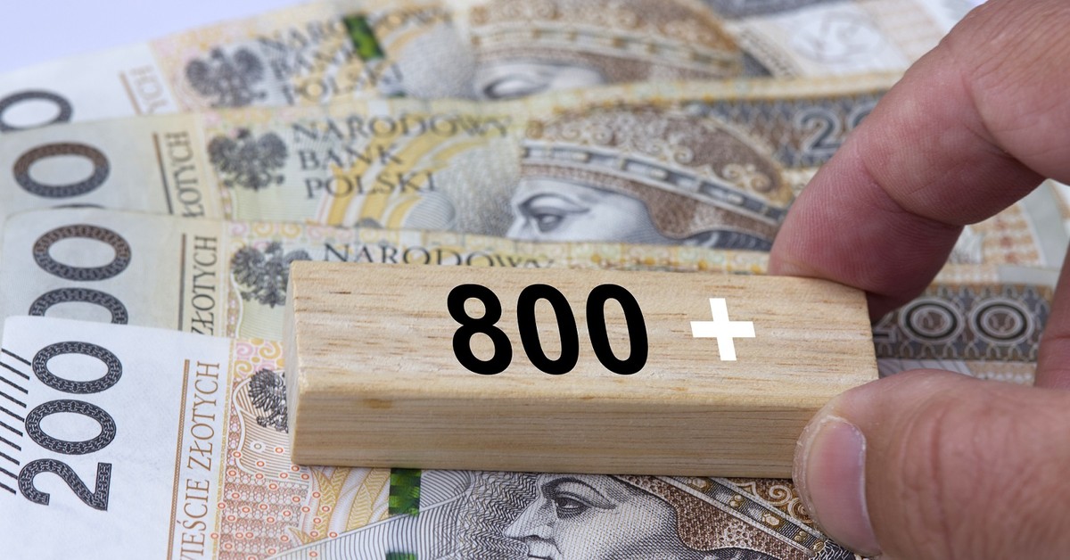 ZUS otwiera nabór na 800 plus. Jeden termin zdecyduje o wypłacie
