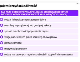 Niska szkodliwość społeczna czynu to fikcja? W orzecznictwie brakuje humanitaryzmu