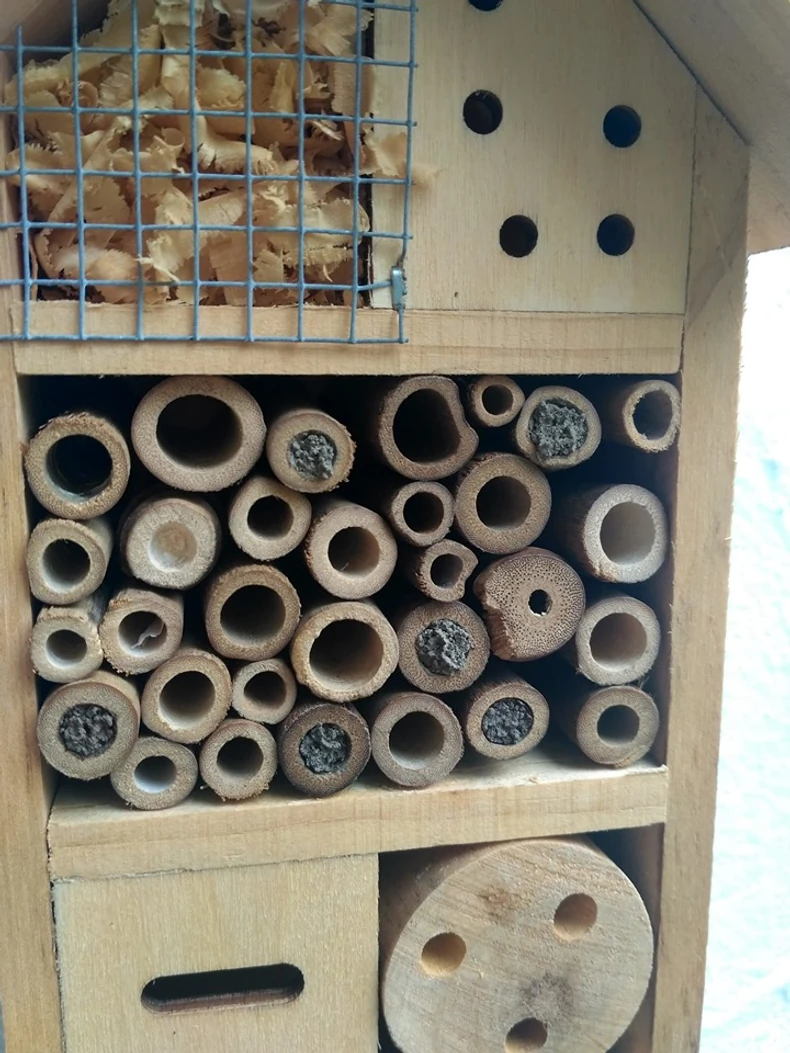 Nesvakidašnji hotel za insekte