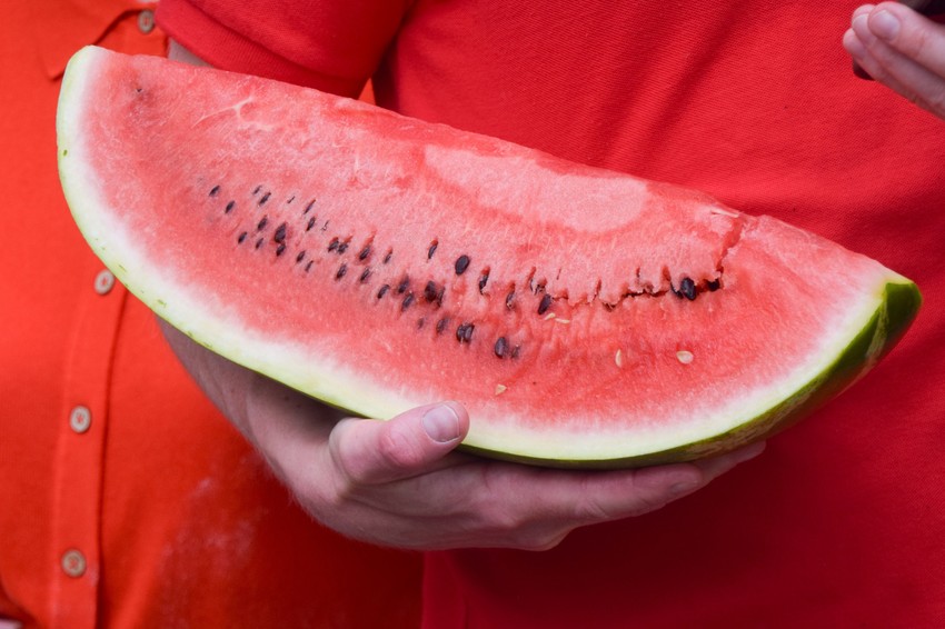 kako izabrati ukusnu lubenicu