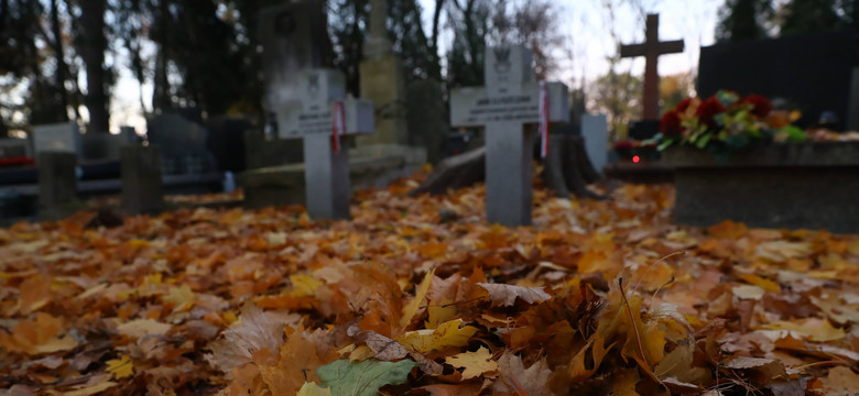 Czy w Polsce będzie można wkrótce pochować bliskiego w lesie? W Niemczech to popularne