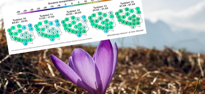 W końcu marca wrócą przymrozki. Początek kwietnia nie będzie zachwycający. Prognoza na ŚWIĘTA