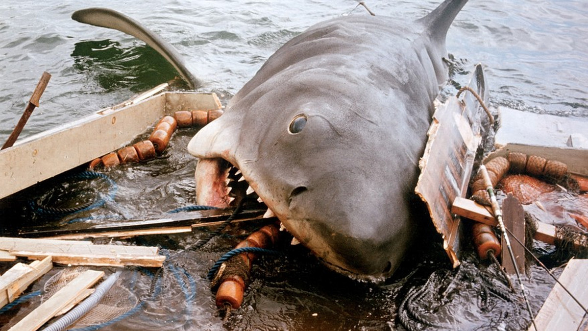Steven Spielberg boi się zemsty rekinów za film "Szczęki"