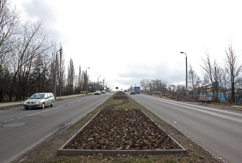 Dąbrowa Górnicza, remont, droga, Aleja Róż