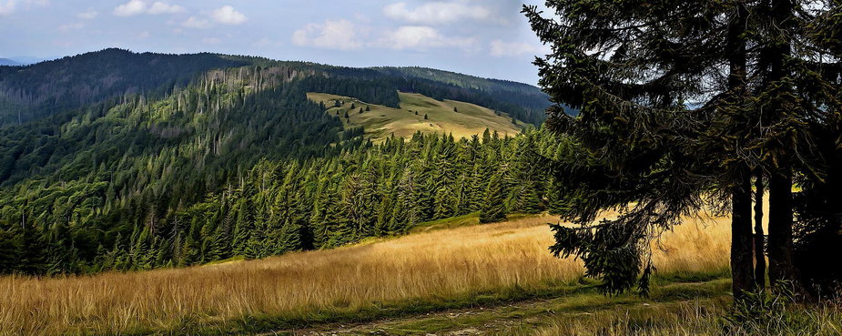 Gorce - krajobraz. Fot. Pixabay.