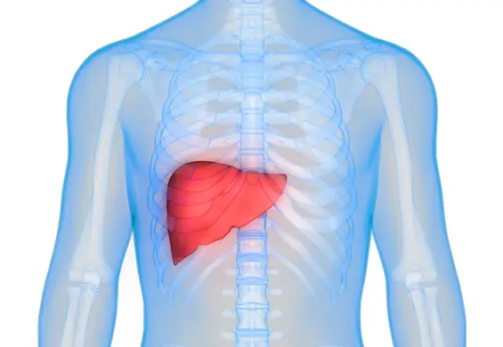 Marskość wątroby: dieta przy marskości wątroby [objawy i leczenie]
