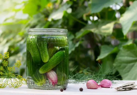 Ogórki małosolne. Przepis na te najbardziej chrupiące i aromatyczne!