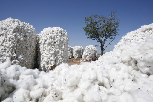 BURKINA-ECONOMY-POVERTY-COTON