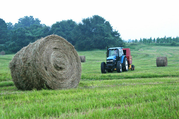 Na wieś i do rolnictwa trafily 44 mld zł unijnych pieniędzy