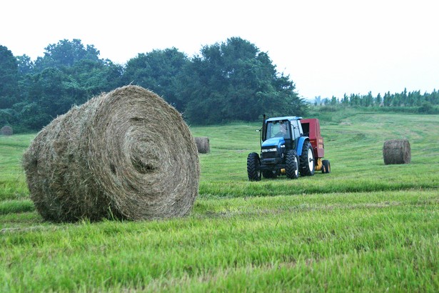 Traktor stojący na łące