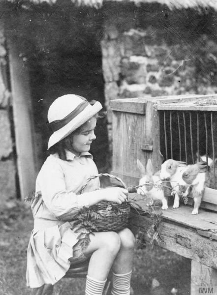 Dziewczynka karmiąca króliki (domena publiczna).