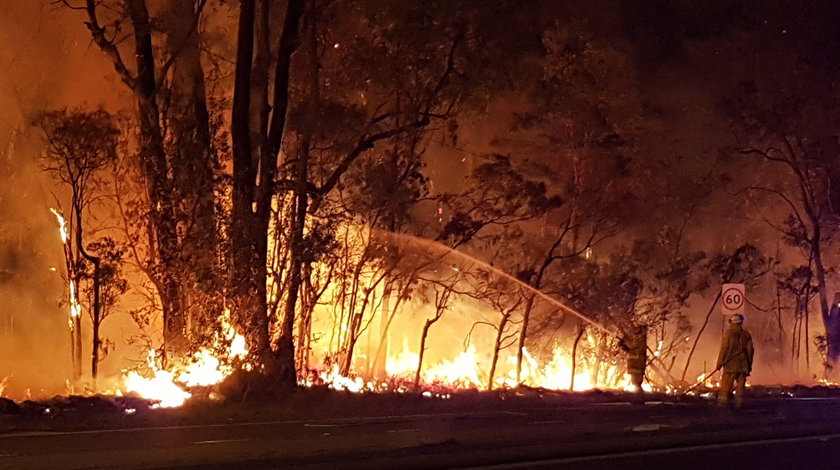 Pożar spustoszył ponad 2500 hektarów australijskiego buszu