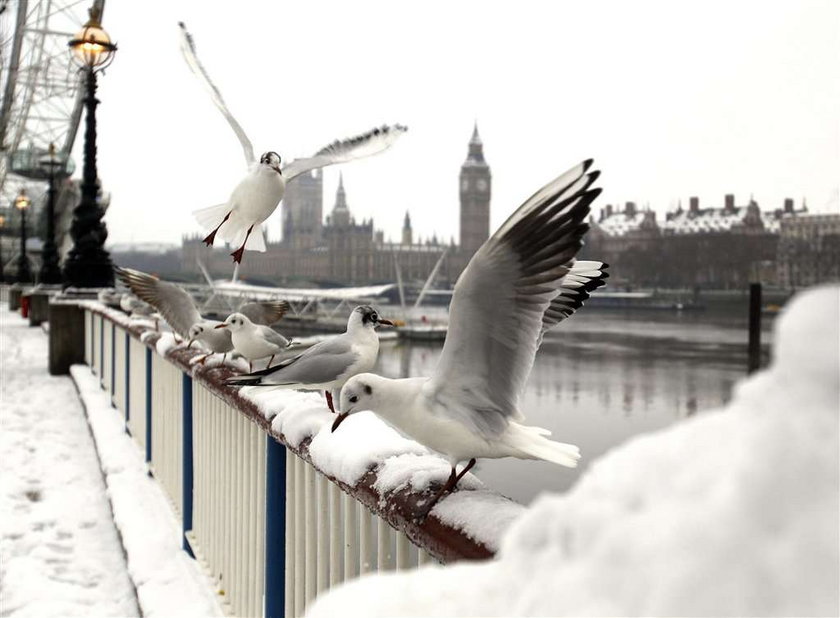 Zima w Londynie. Odwołują loty z Heathrow